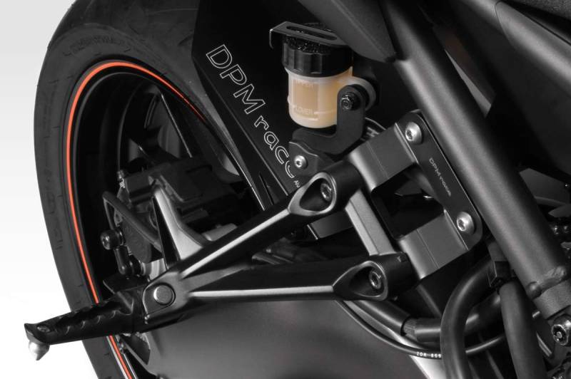 MT 09 FZ09 2017/20 - Kit Beifahrerfußrastenständer (R-0733) - Repositionierung Fussrasten Fussstützen - inkl. Hardware-Bolzen - Motorradzubehör De Pretto Moto (DPM Race) - 100% Made in Italy von DPM race