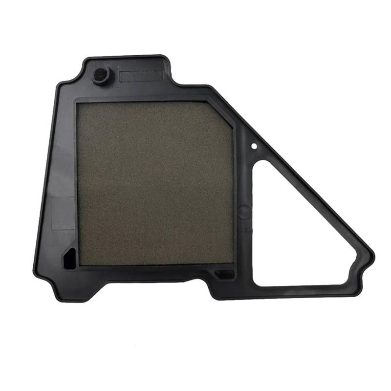 Motorrad Teile Luftfilter Reiniger for YBR125 YBR 125 JYM 2005-2014 YB125 2008 von DPXBNFW