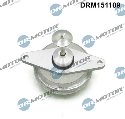 Dr.motor Automotive AGR-Ventil [Hersteller-Nr. DRM151109] für Opel von DR.MOTOR AUTOMOTIVE