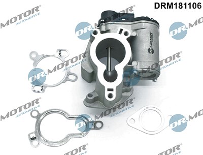 Dr.motor Automotive AGR-Ventil [Hersteller-Nr. DRM181106] für Nissan, Opel, Renault von DR.MOTOR AUTOMOTIVE