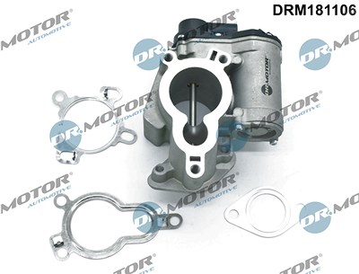Dr.motor Automotive AGR-Ventil [Hersteller-Nr. DRM181106] für Nissan, Opel, Renault, Vauxhall von DR.MOTOR AUTOMOTIVE