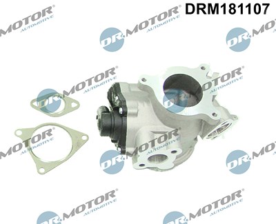 Dr.motor Automotive AGR-Ventil [Hersteller-Nr. DRM181107] für Nissan, Opel, Renault von DR.MOTOR AUTOMOTIVE