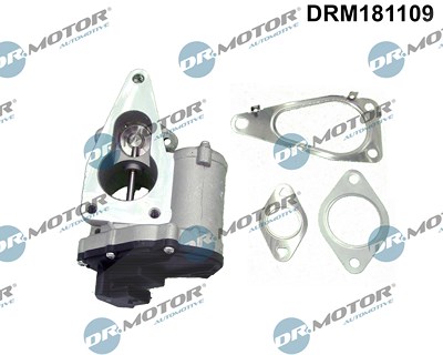 Dr.motor Automotive AGR-Ventil [Hersteller-Nr. DRM181109] für Renault von DR.MOTOR AUTOMOTIVE