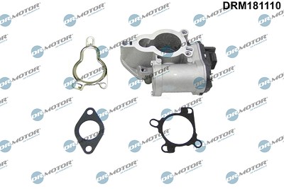 Dr.motor Automotive AGR-Ventil [Hersteller-Nr. DRM181110] für Nissan, Opel, Renault von DR.MOTOR AUTOMOTIVE