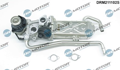 Dr.motor Automotive AGR-Ventil [Hersteller-Nr. DRM211102S] für Audi, Seat, Skoda, VW von DR.MOTOR AUTOMOTIVE