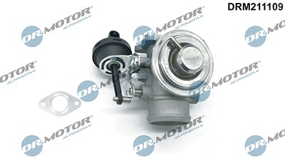 Dr.motor Automotive AGR-Ventil [Hersteller-Nr. DRM211109] für Audi, Seat, Skoda, VW von DR.MOTOR AUTOMOTIVE