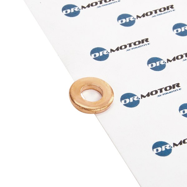 DR.MOTOR AUTOMOTIVE Dichtring, Einspritzventil PEUGEOT,CITROËN DRM01124 198165 DR.MOTOR AUTOMOTIVE Dichtring, Einspritzventil PEUGEOT,CITROËN DRM01124 198165 von DR.MOTOR AUTOMOTIVE
