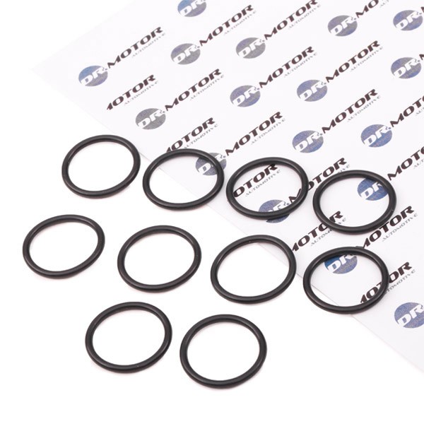 DR.MOTOR AUTOMOTIVE Dichtring Ölablaßschraube OPEL,FIAT,SUZUKI DRM028 652540,652690,1151984E00 90528145,0199978245,A0199978245,98043219,9030129016 DR.MOTOR AUTOMOTIVE Dichtring Ölablaßschraube OPEL,FIAT,SUZUKI DRM028 652540,652690,1151984E00 90528145,0199978245,A0199978245,98043219,9030129016 von DR.MOTOR AUTOMOTIVE