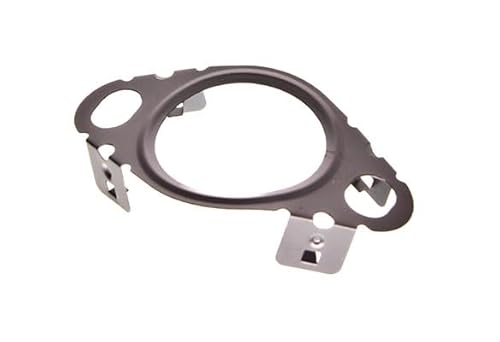 DR.MOTOR AUTOMOTIVE Dichtung, Leitung AGR-Ventil DRM01938 von DR.MOTOR AUTOMOTIVE