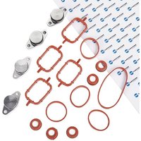 DR.MOTOR AUTOMOTIVE Dichtungssatz, Ansaugkrümmer DRM0587SL-22  BMW,LAND ROVER,ROVER,3 Touring (E91),3 Limousine (E90),3 Limousine (E46) von DR.MOTOR AUTOMOTIVE