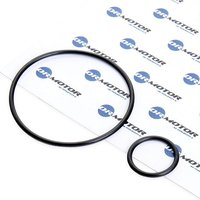 DR.MOTOR AUTOMOTIVE Dichtungssatz, Ansaugkrümmer DRM116  FIAT,PEUGEOT,CITROËN,DUCATO Pritsche/Fahrgestell (230),DUCATO Bus (230),DUCATO Kasten (230L) von DR.MOTOR AUTOMOTIVE