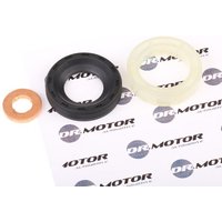 DR.MOTOR AUTOMOTIVE Dichtungssatz, Einspritzdüse ohne Schraube DRM040 FORD,FIAT,PEUGEOT,Fiesta Mk6 Schrägheck (JA8, JR8) DR.MOTOR AUTOMOTIVE Dichtungssatz, Einspritzdüse ohne Schraube DRM040 FORD,FIAT,PEUGEOT,Fiesta Mk6 Schrägheck (JA8, JR8) von DR.MOTOR AUTOMOTIVE