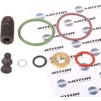 DR.MOTOR AUTOMOTIVE Reparatursatz, Pumpe-Düse-Einheit DRM006L  VW,AUDI,FORD,Golf IV Schrägheck (1J1),Golf V Schrägheck (1K1),POLO (9N_) von DR.MOTOR AUTOMOTIVE
