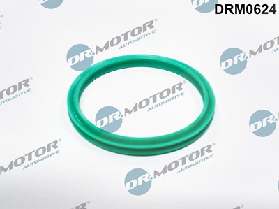 Dr.motor Automotive Dichtring, Ladeluftschlauch [Hersteller-Nr. DRM0624] für Dacia, Renault von DR.MOTOR AUTOMOTIVE