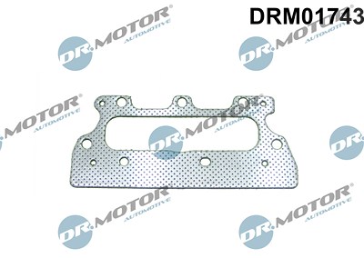 Dr.motor Automotive Dichtung, Abgaskrümmer [Hersteller-Nr. DRM01743] für Dacia, Nissan, Renault, Smart von DR.MOTOR AUTOMOTIVE