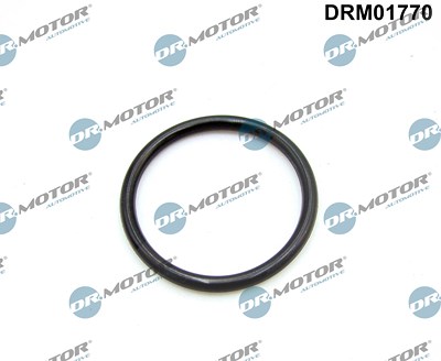 Dr.motor Automotive Dichtung, Ansaugkrümmer [Hersteller-Nr. DRM01770] für Citroën, Fiat, Ford, Land Rover, Peugeot von DR.MOTOR AUTOMOTIVE