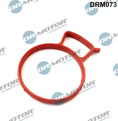 Dr.motor Automotive Dichtung, Ansaugkrümmer [Hersteller-Nr. DRM073] für Ford von DR.MOTOR AUTOMOTIVE