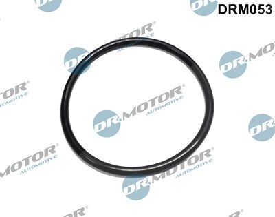 Dr.motor Automotive Dichtung, Kraftstoffilter [Hersteller-Nr. DRM053] für Citroën, Peugeot von DR.MOTOR AUTOMOTIVE