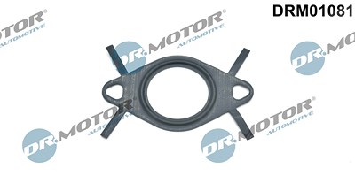 Dr.motor Automotive Dichtung, Leitung AGR-Ventil [Hersteller-Nr. DRM01081] für Opel, Vauxhall von DR.MOTOR AUTOMOTIVE