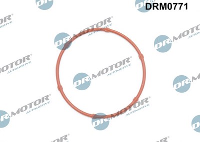 Dr.motor Automotive Dichtung, Ölpumpe [Hersteller-Nr. DRM0771] für Opel von DR.MOTOR AUTOMOTIVE