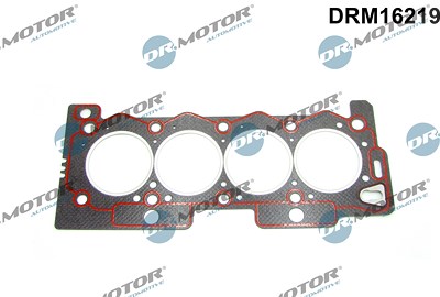 Dr.motor Automotive Dichtung, Zylinderkopf [Hersteller-Nr. DRM16219] für Citroën, Fiat, Peugeot von DR.MOTOR AUTOMOTIVE