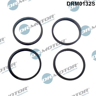 Dr.motor Automotive Dichtungssatz, Ansaugkrümmer [Hersteller-Nr. DRM0132S] für Audi, Seat, Skoda, VW von DR.MOTOR AUTOMOTIVE