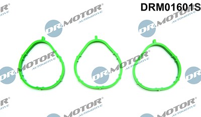 Dr.motor Automotive Dichtungssatz, Ansaugkrümmer [Hersteller-Nr. DRM01601S] für Smart von DR.MOTOR AUTOMOTIVE