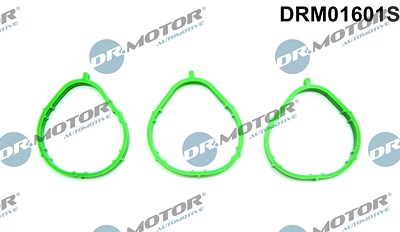 Dr.motor Automotive Dichtungssatz, Ansaugkrümmer [Hersteller-Nr. DRM01601S] für Mitsubishi, Smart von DR.MOTOR AUTOMOTIVE