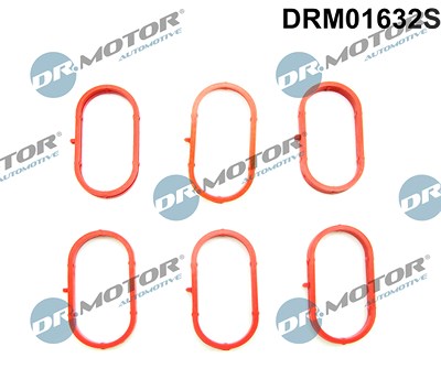 Dr.motor Automotive Dichtungssatz, Ansaugkrümmer [Hersteller-Nr. DRM01632S] für Audi von DR.MOTOR AUTOMOTIVE