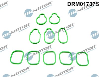 Dr.motor Automotive Dichtungssatz, Ansaugkrümmer [Hersteller-Nr. DRM01737S] für Seat, VW von DR.MOTOR AUTOMOTIVE