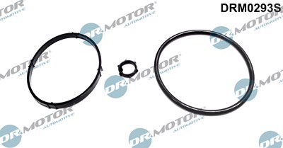 Dr.motor Automotive Dichtungssatz, Ölkühler [Hersteller-Nr. DRM0293S] für Citroën, Fiat, Peugeot von DR.MOTOR AUTOMOTIVE