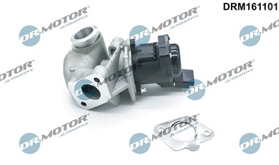 Dr.motor Automotive AGR-Ventil [Hersteller-Nr. DRM161101] für Citroën, Fiat, Ford, Peugeot von DR.MOTOR AUTOMOTIVE