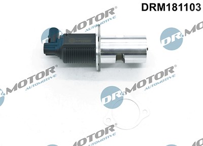 Dr.motor Automotive AGR-Ventil [Hersteller-Nr. DRM181103] für Nissan, Opel, Renault von DR.MOTOR AUTOMOTIVE