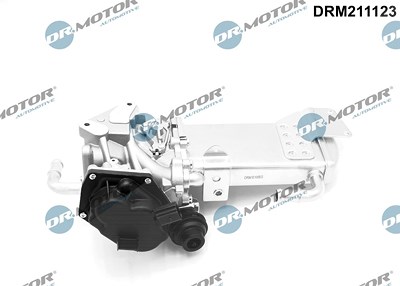 Dr.motor Automotive AGR-Ventil [Hersteller-Nr. DRM211123] für VW von DR.MOTOR AUTOMOTIVE