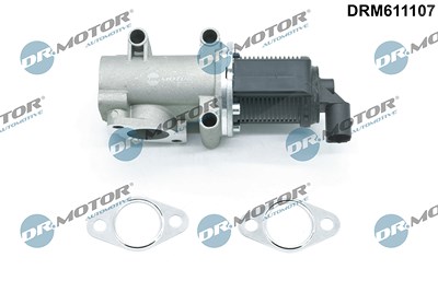 Dr.motor Automotive AGR-Ventil [Hersteller-Nr. DRM611107] für Alfa Romeo, Fiat, Opel, Saab, Suzuki von DR.MOTOR AUTOMOTIVE