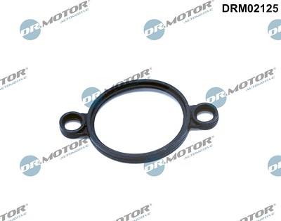 Dr.motor Automotive Dichtung, Stellelement (Exzenterwelle) [Hersteller-Nr. DRM02125] für BMW von DR.MOTOR AUTOMOTIVE