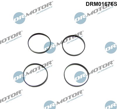 Dr.motor Automotive Dichtungssatz, Ansaugkrümmer [Hersteller-Nr. DRM01676S] für BMW von DR.MOTOR AUTOMOTIVE