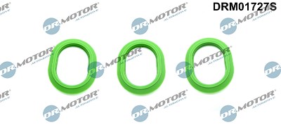 Dr.motor Automotive Dichtungssatz, Ansaugkrümmer [Hersteller-Nr. DRM01727S] für Mercedes-Benz von DR.MOTOR AUTOMOTIVE