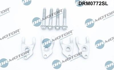 Dr.motor Automotive Montagewerkzeugsatz, Pumpe-Düse-Einheit [Hersteller-Nr. DRM0772SL] für Ford von DR.MOTOR AUTOMOTIVE