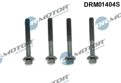 Dr.motor Automotive Schraube, Einspritzdüsenhalter [Hersteller-Nr. DRM01404S] für Dacia, Renault von DR.MOTOR AUTOMOTIVE
