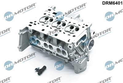 Dr.motor Automotive Zylinderkopf [Hersteller-Nr. DRM6401] für Ford von DR.MOTOR AUTOMOTIVE