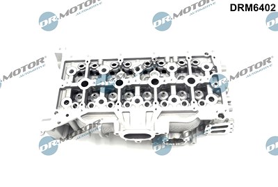 Dr.motor Automotive Zylinderkopf [Hersteller-Nr. DRM6402] für Ford von DR.MOTOR AUTOMOTIVE