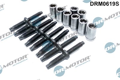 Dr.motor Automotive Reparatursatz, Düsenhalter [Hersteller-Nr. DRM0619S] für Citroën, Ford, Peugeot von DR.MOTOR AUTOMOTIVE
