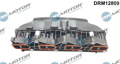 Dr.motor Automotive Saugrohrmodul [Hersteller-Nr. DRM12809] für Mercedes-Benz von DR.MOTOR AUTOMOTIVE
