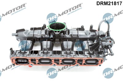 Dr.motor Automotive Saugrohrmodul [Hersteller-Nr. DRM21817] für Audi, Seat, Skoda, VW von DR.MOTOR AUTOMOTIVE
