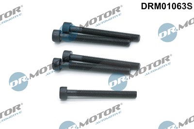 Dr.motor Automotive Schraube, Einspritzdüsenhalter [Hersteller-Nr. DRM01063S] für VW von DR.MOTOR AUTOMOTIVE