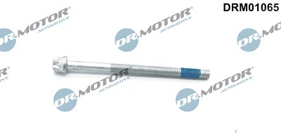 Dr.motor Automotive Schraube, Einspritzdüsenhalter [Hersteller-Nr. DRM01065] für Mercedes-Benz von DR.MOTOR AUTOMOTIVE
