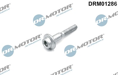 Dr.motor Automotive Schraube, Einspritzdüsenhalter [Hersteller-Nr. DRM01286] für Audi, Seat, Skoda, VW von DR.MOTOR AUTOMOTIVE