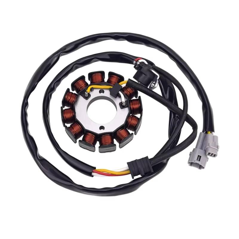 DRCIOQAZR Kompatibel Mit Yamaha Für WR250F 2004 2005 2006 2007 2008 2009 2010 2011 2012 2013 2014 5UM-81410-09-00 Motorrad Generator Stator Spule Motorrad-Statorspule von DRCIOQAZR