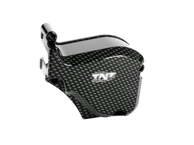 Ölpumpenabdeckung carbon, für Piaggio Motor D50B, für Aprilia, Derbi, Gilera von DS MOTION